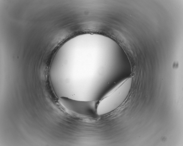 X0000093570168200711121045