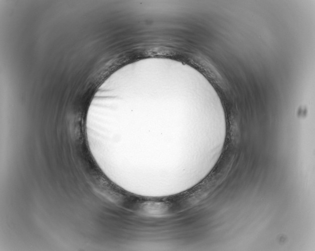 X0000093570169200711121045
