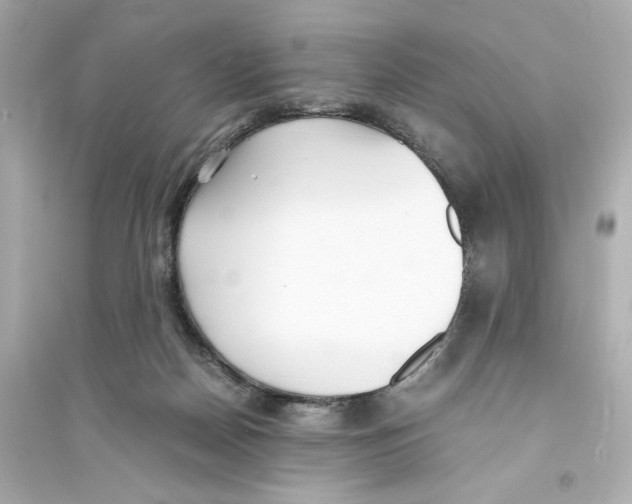 X0000093570170200711121045