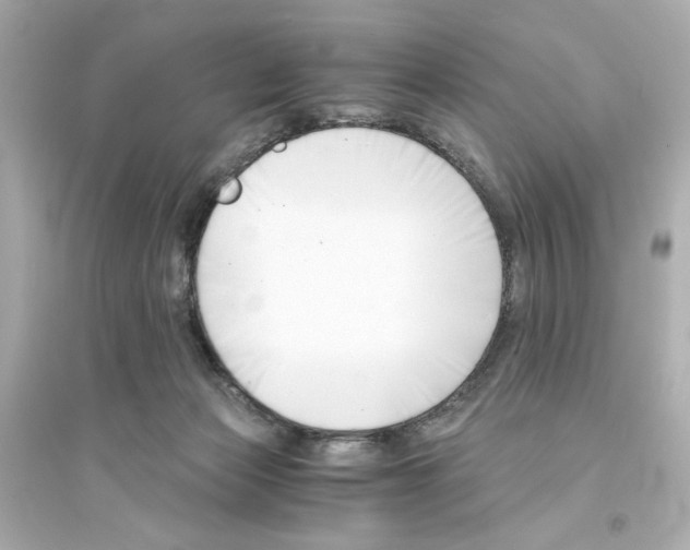 X0000093570173200711121046