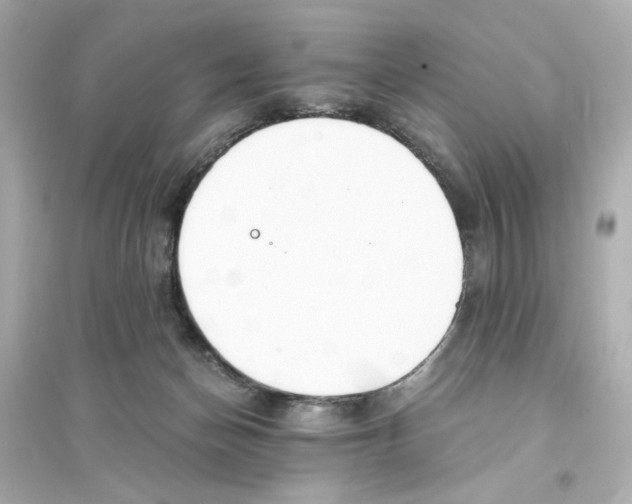 X0000093570174200711121046