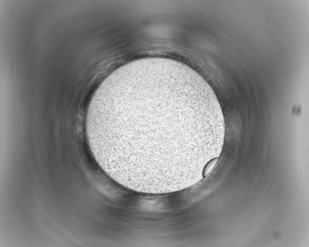X0000093570175200711121046