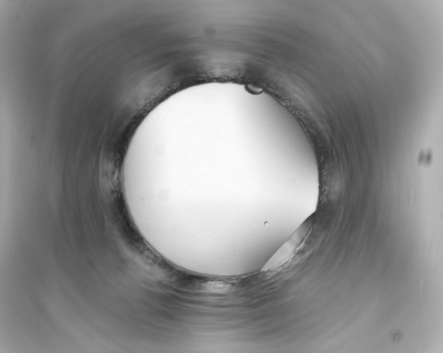 X0000093570176200711121046