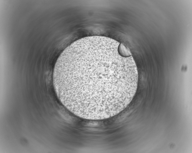 X0000093570177200711121046