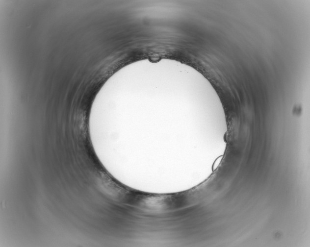 X0000093570178200711121046