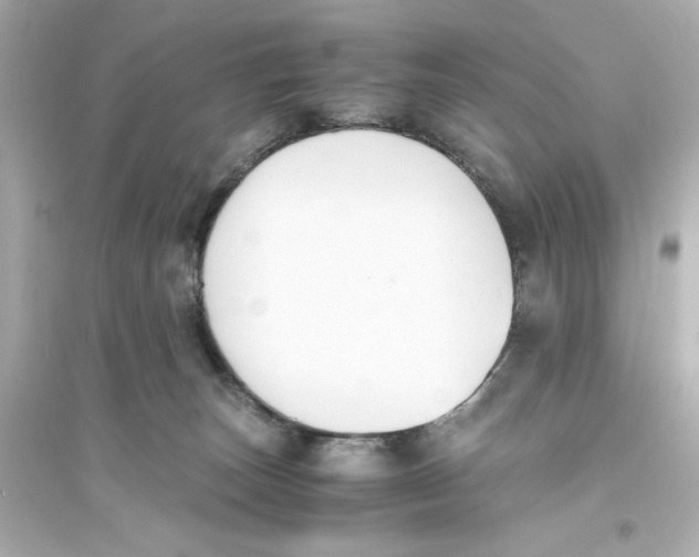 X0000093570179200711121046