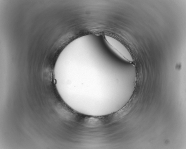X0000093570180200711121046