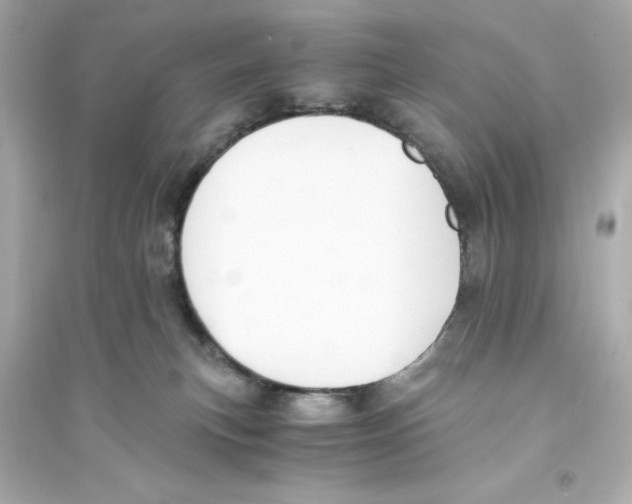 X0000093570183200711121046