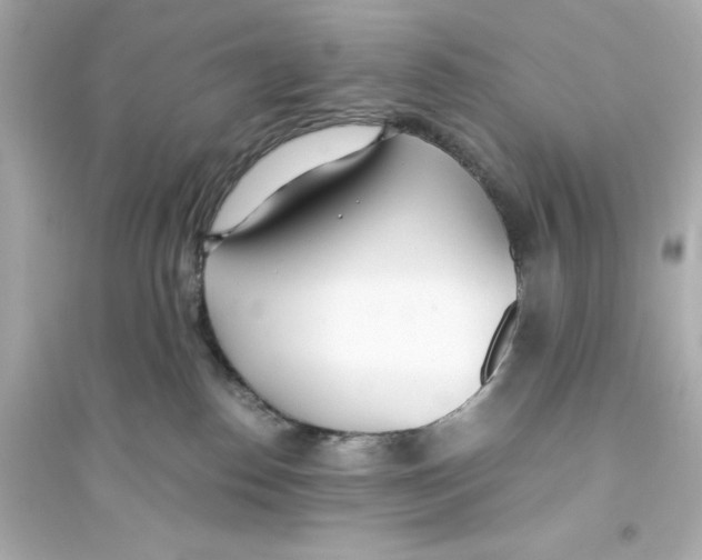 X0000093570186200711121046