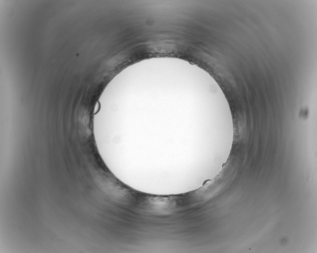 X0000093570187200711121046