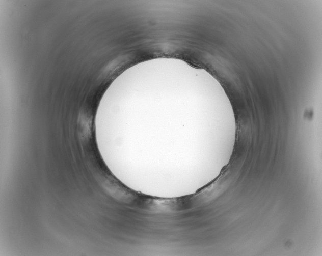 X0000093570188200711121046