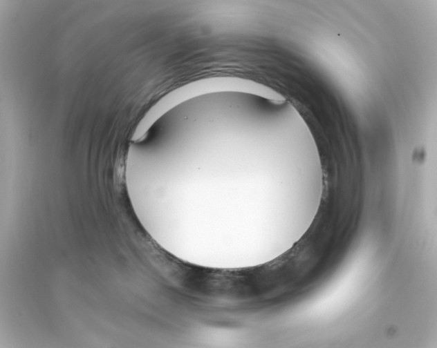 X0000093570190200711121046