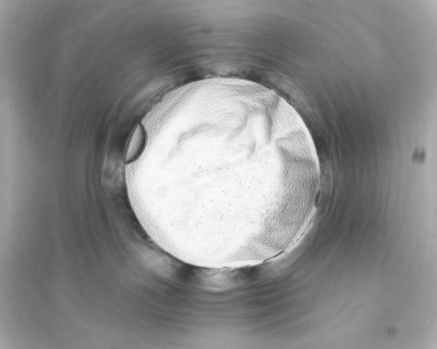 X0000093570191200711121046