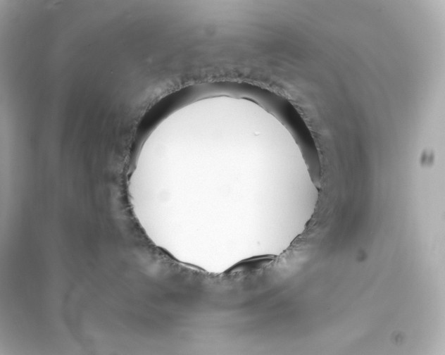 X0000093570192200711121046