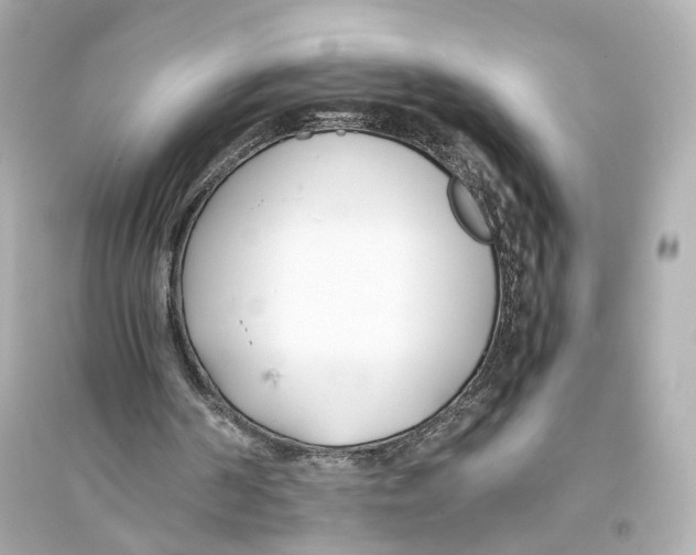 X0000093570194200711121045