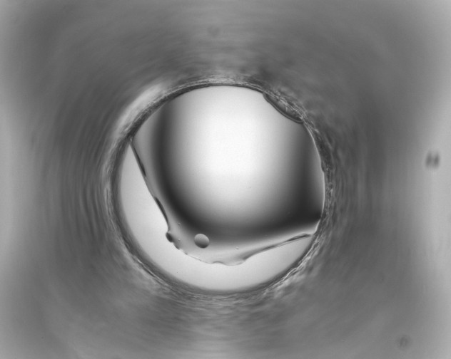 X0000093570197200711121045