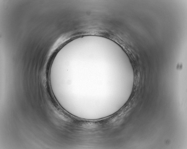 X0000093570198200711121045