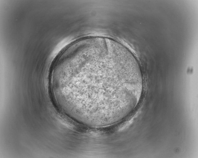 X0000093570199200711121045