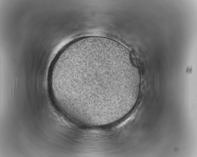 X0000093570200200711121045