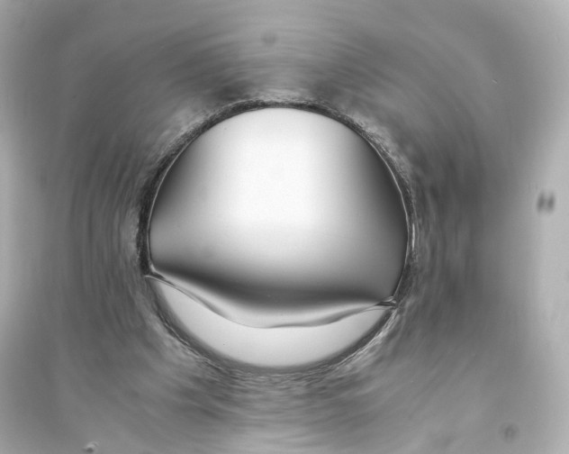 X0000093570201200711121045