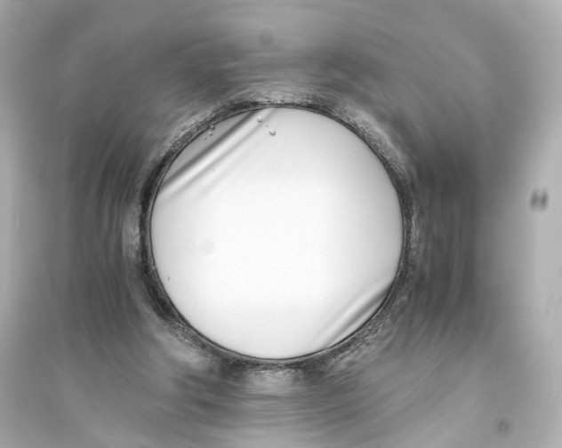 X0000093570202200711121045
