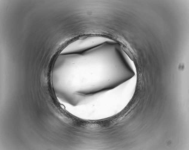 X0000093570203200711121045
