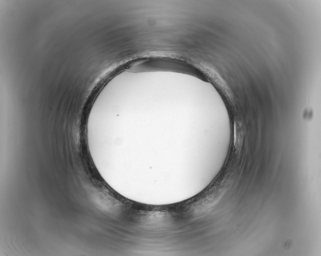 X0000093570204200711121045