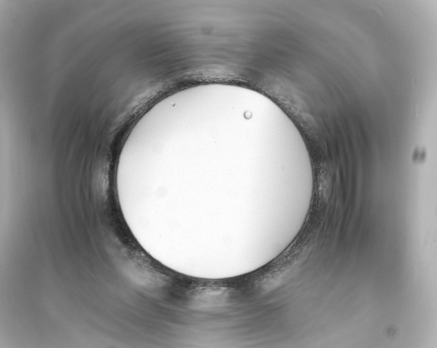X0000093570206200711121045