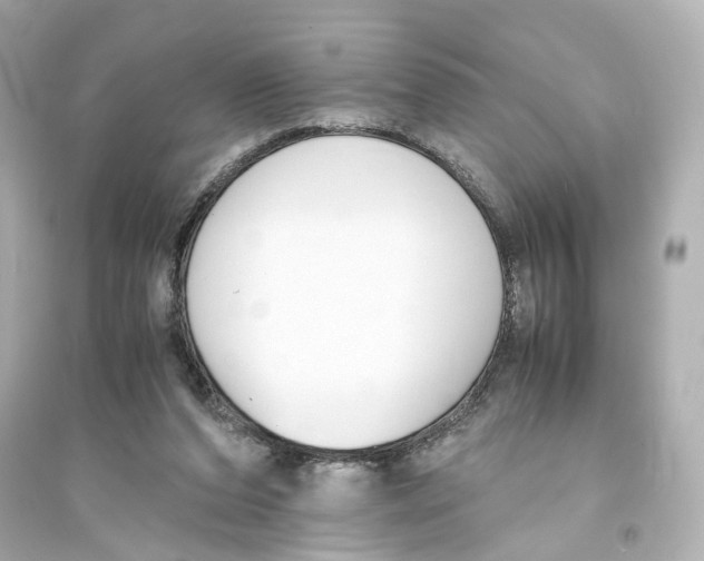 X0000093570208200711121045