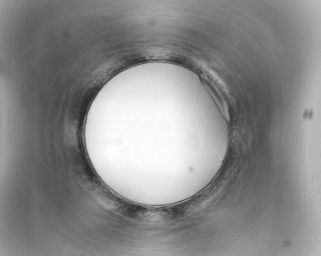 X0000093570209200711121045