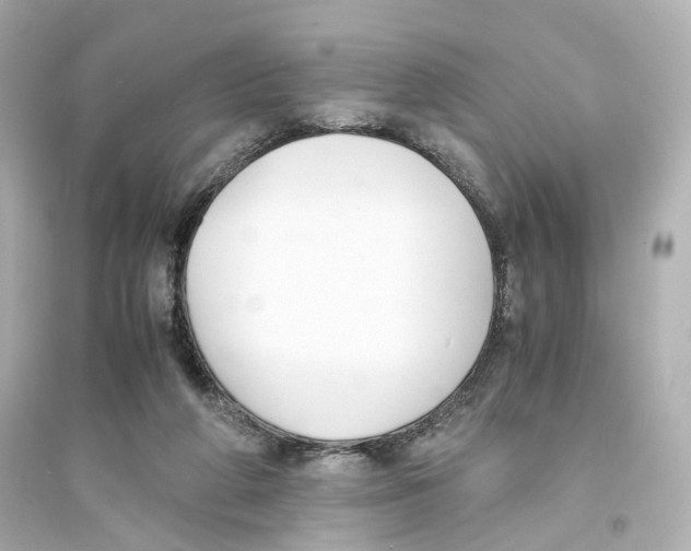 X0000093570210200711121045