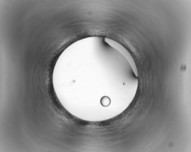 X0000093570211200711121045