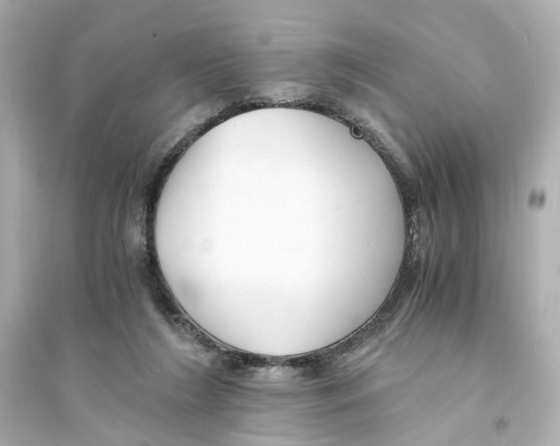 X0000093570212200711121045