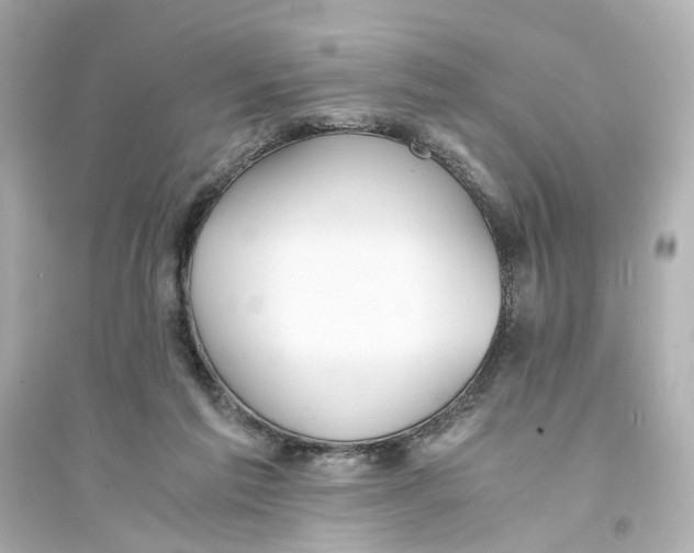 X0000093570213200711121045