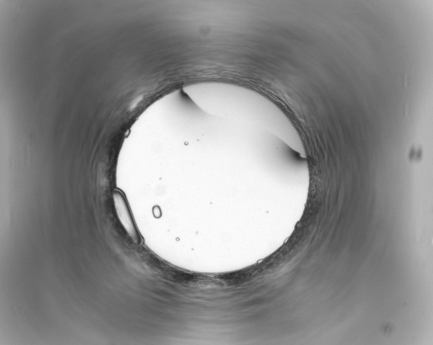 X0000093570215200711121045