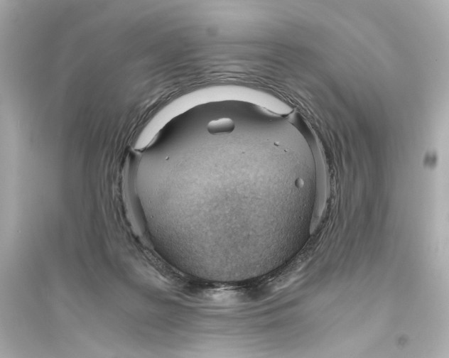 X0000093570219200711121045