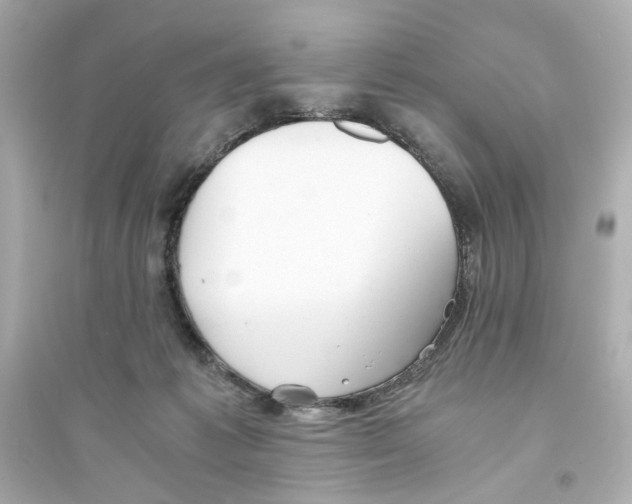 X0000093570221200711121045