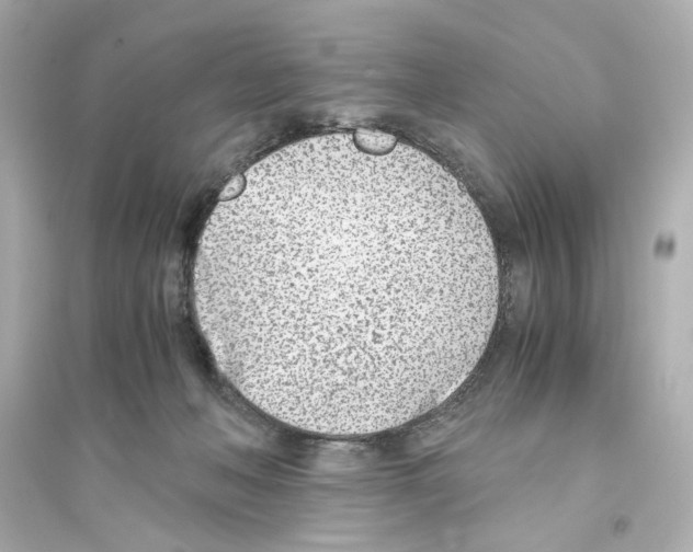 X0000093570222200711121045