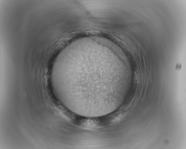 X0000093570223200711121045
