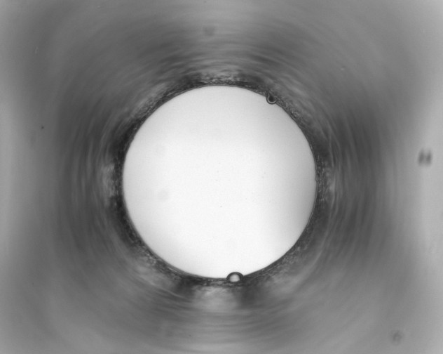 X0000093570224200711121045