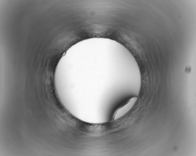 X0000093570225200711121045