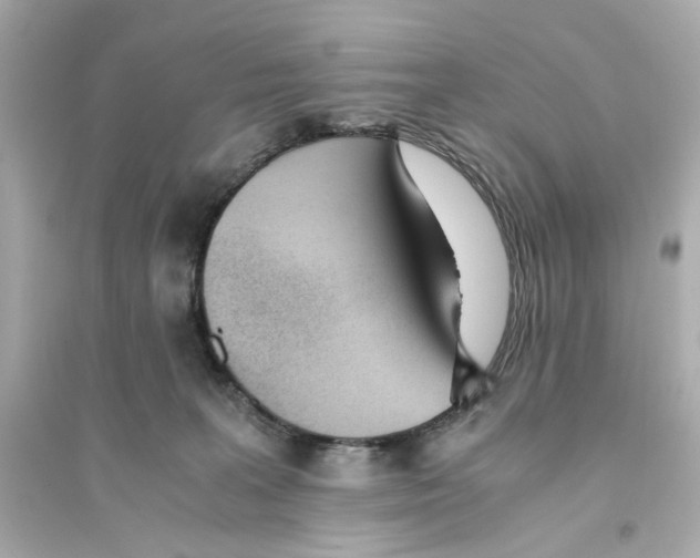 X0000093570227200711121045