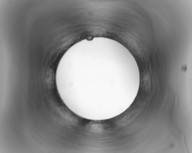 X0000093570228200711121045