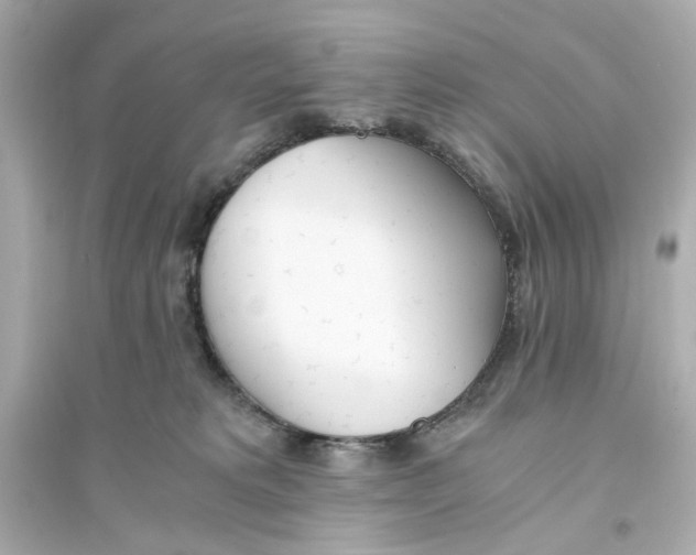 X0000093570229200711121045