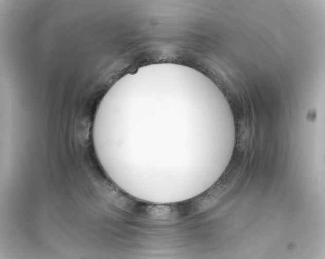 X0000093570230200711121045