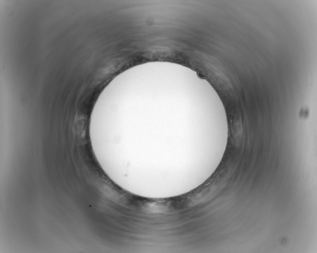 X0000093570232200711121045