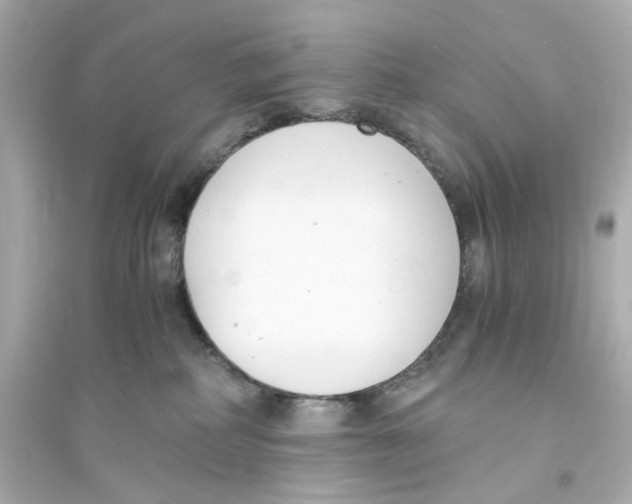 X0000093570234200711121045