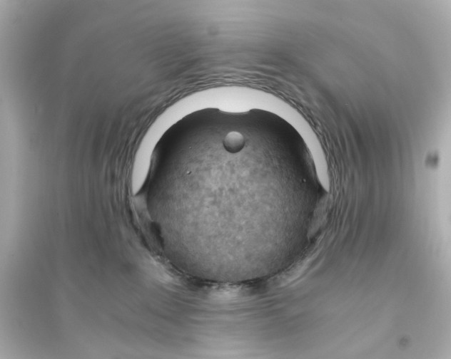 X0000093570235200711121045
