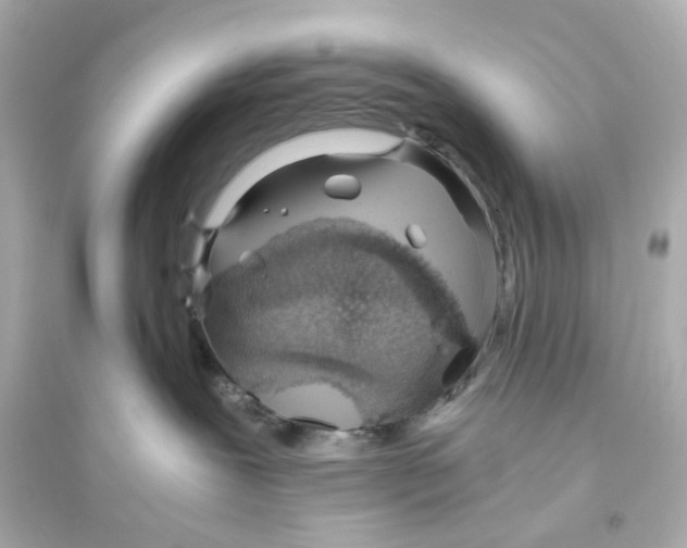 X0000093570239200711121044
