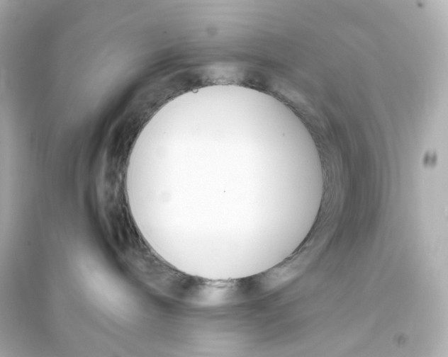 X0000093570240200711121044